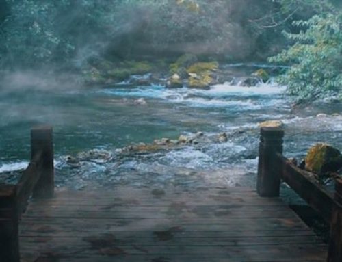 21 efeitos gratuitos de fumaça em 4K para vídeo