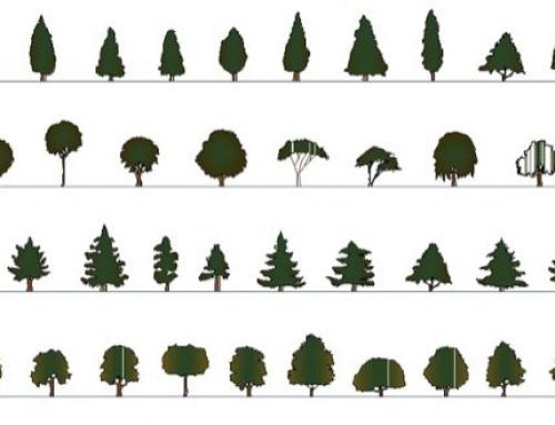 54 blocos de vegetação com cores para o AutoCAD